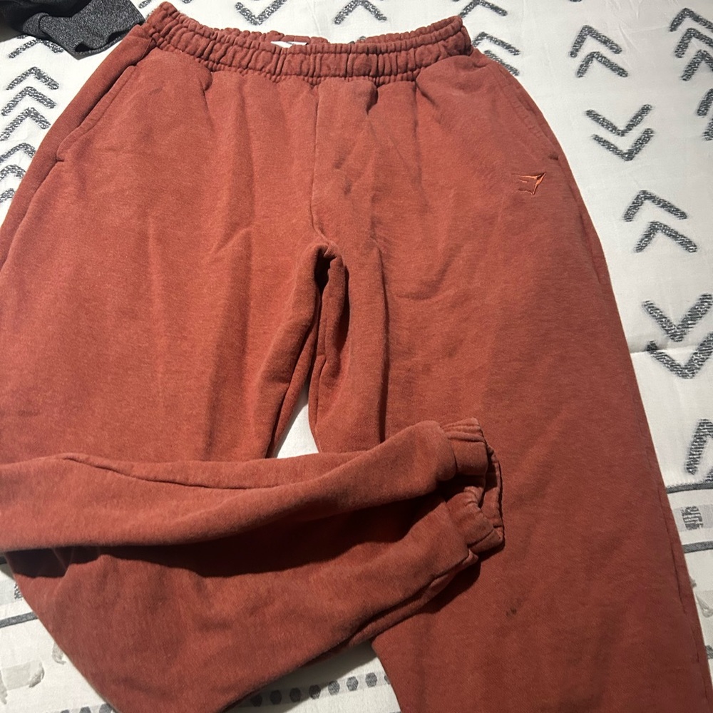 Gym shark sweat pants